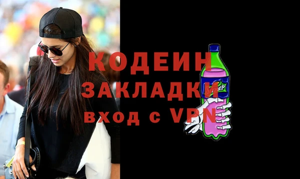 индика Пенза