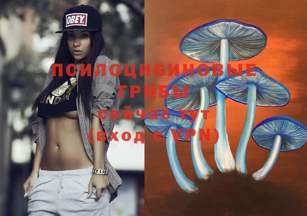 прущая мука Кинешма