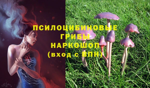 дурь Козельск