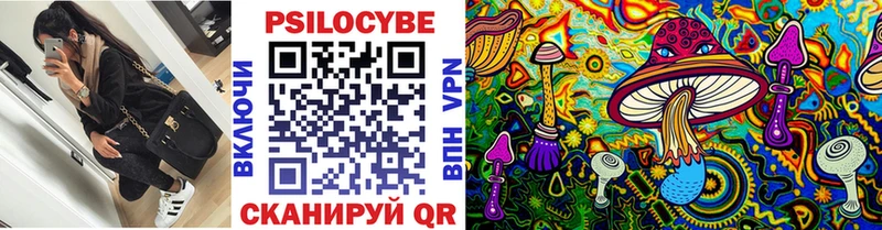 кракен зеркало  Медынь  Псилоцибиновые грибы мицелий 