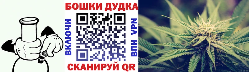 что такое Медынь Канабис конопля